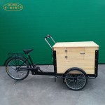 Electric Coffee Bike Manufacturer - 3 Wheel Food Transport