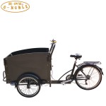 Electric Rickshaw Supplier - 3 Wheel Passenger Cargo