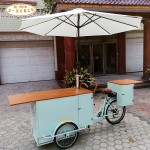Mobile Food Car Factory - Popular Beer Bikes