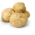 Organic Lion's Mane Mushroom Extract/ Hericium Erinaceus 30% Polysaccharides