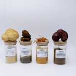 AOGUBIO Private Label Mushroom Coffee Lions Mane