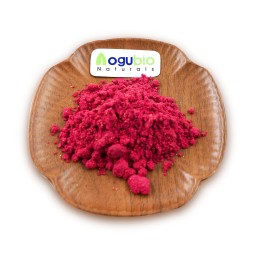 AOGUBIO OEM Organic Natural Freeze Dried Strawberry Powder