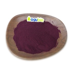 Factory Supply Mulberry Fruit Powder Mulberry Fruit Extract Powder