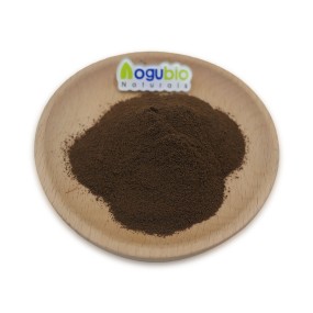 Organic Instant Arabica Coffee Powder with Reishi Mushroom Chaga Mushroom Lion's Mane Extract Powder