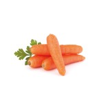 100% Pure Organic Carrot Powder Dehydrated Carrot Powder