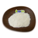 AOGUBIO Supply High Quality Lactobacillus Acidophilus Probiotics 3 Billion CFU Lactobacillus Acidophilus Powder