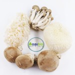 Organic Mushroom Powder Cordyceps Sinensis Extract Polysaccharide 30%