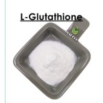 Factory Supply Kojic Acid Dipalmitate Cosmetic Grade Kojic Acid Dipalmitate for Whitening
