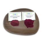 Factory Supply Mulberry Fruit Powder Mulberry Fruit Extract Powder