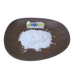 Food Additives Water Soluble Lactococcus Lactis Probiotics Powder Lactococcus Lactis