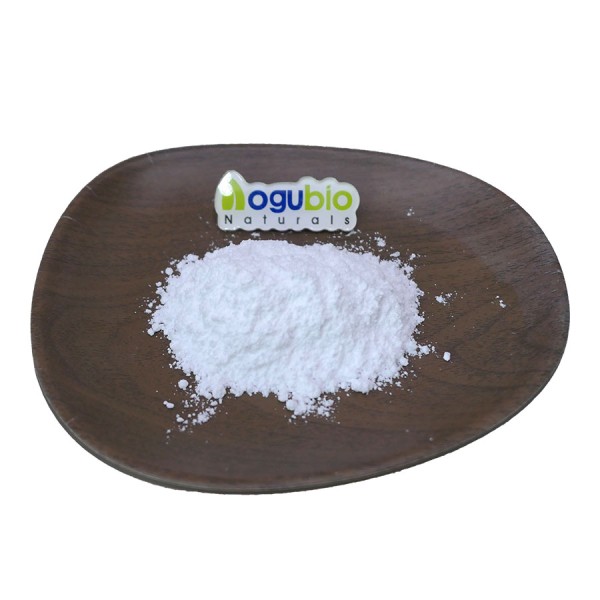 Food Additives Water Soluble Lactococcus Lactis Probiotics Powder Lactococcus Lactis