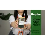 Super Food Green Spirulina Powder High Quality Spirulina Powder