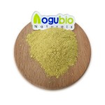 AOGUBIO Natural OEM Sophora Japonica Extract 95% 98% Isoquercetin Powder