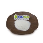 Wholesale Price High Quality Lactobacillus Plantarum Powder Raw-food Material Lactobacillus Plantarum