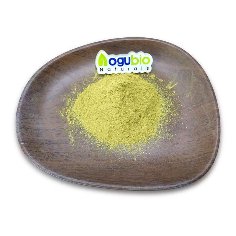 AOGUBIO Natural OEM Sophora Japonica Extract 95% 98% Isoquercetin Powder