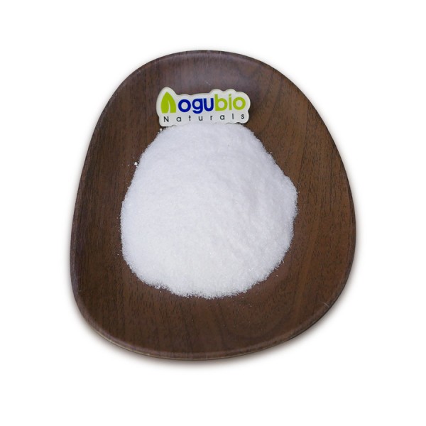Health Supplement Lactobacillus Salivarius Probiotic High Quality Lactobacillus Salivarius Powder