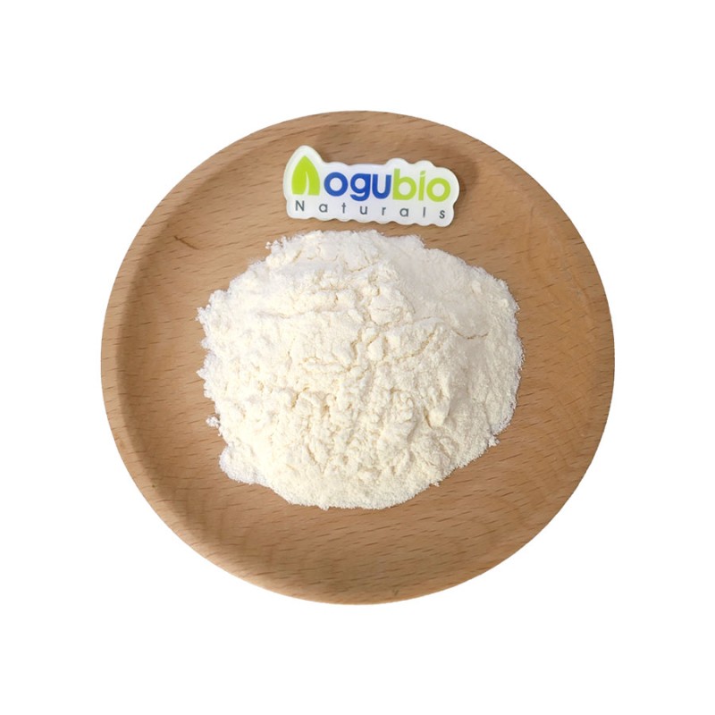 Sports Nutrition Supplement Brown Rice Protein 80% Brown Rice Protein