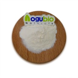 ISO Factory Supply High Quality Natural Sweetener Stachyose 99% Powder with Free Sample