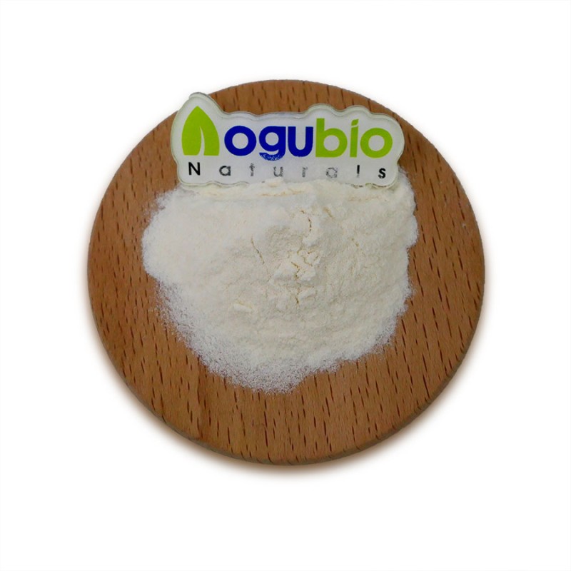 ISO Factory Supply High Quality Natural Sweetener Stachyose 99% Powder with Free Sample