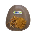 Organic Mushroom Powder Cordyceps Sinensis Extract Polysaccharide 30%