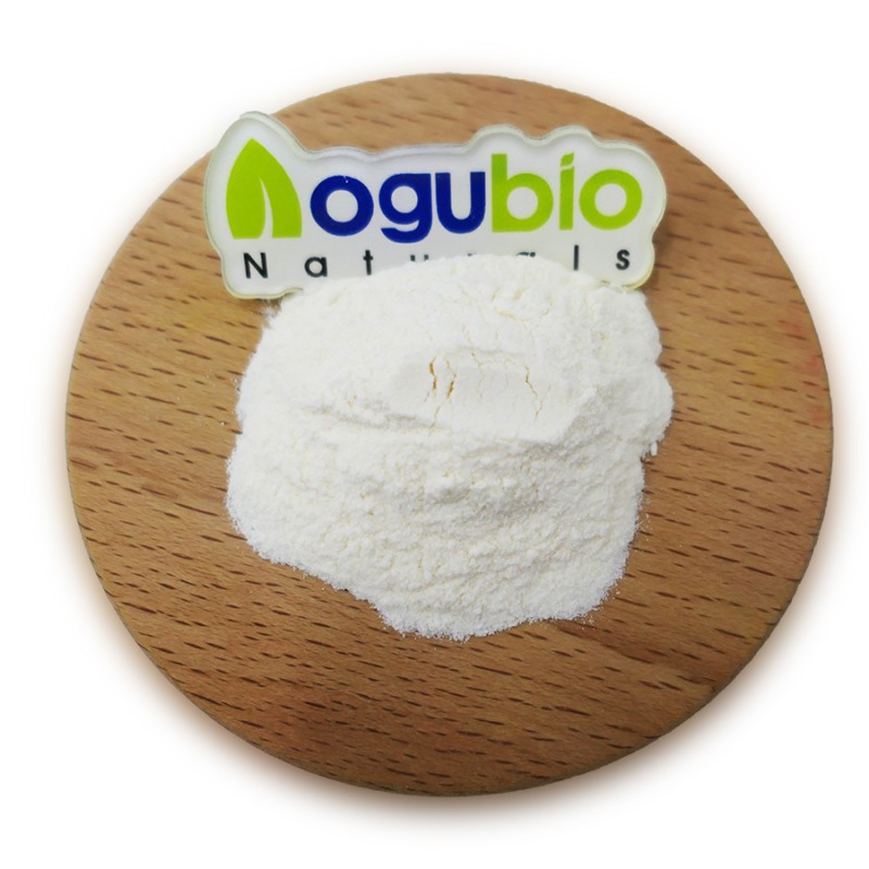 Food Ingredients Streptococcus Thermophilus Freeze-dried Probiotics Powder 10 Billion Streptococcus Thermophilus Powder