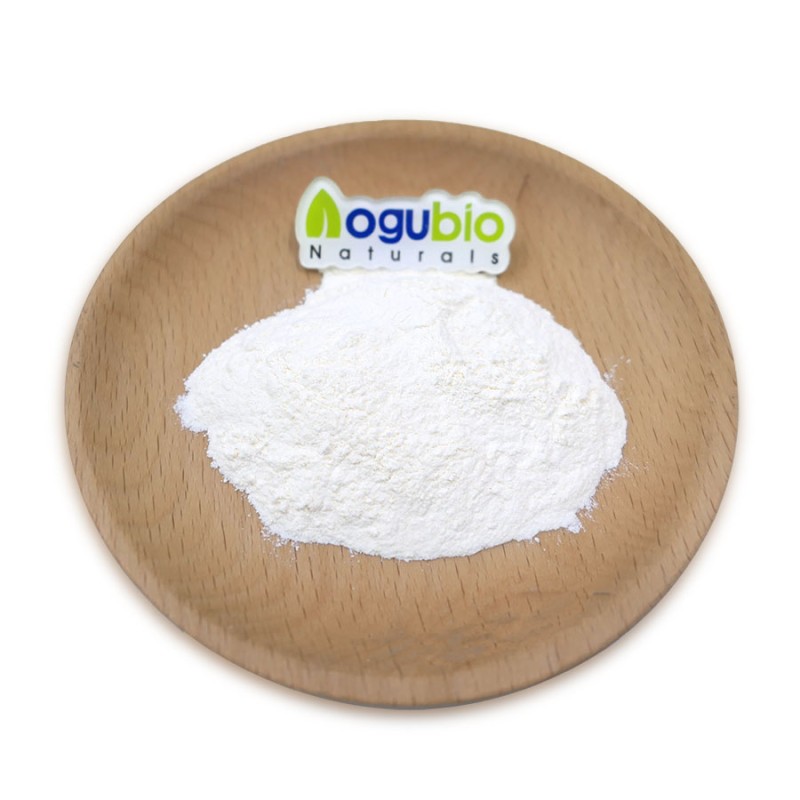 Cas 305-84-0 99% Food Grade L Carnosine Powder L-carnosine
