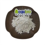 Aogubio Supply High Quality tiger Milk Mushroom Extract