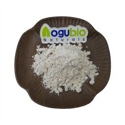 Aogubio Supply High Quality tiger Milk Mushroom Extract