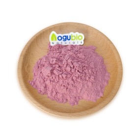 Aogubio Supply OEM Private Label Cherry Powder Food Grade Cherry Powder