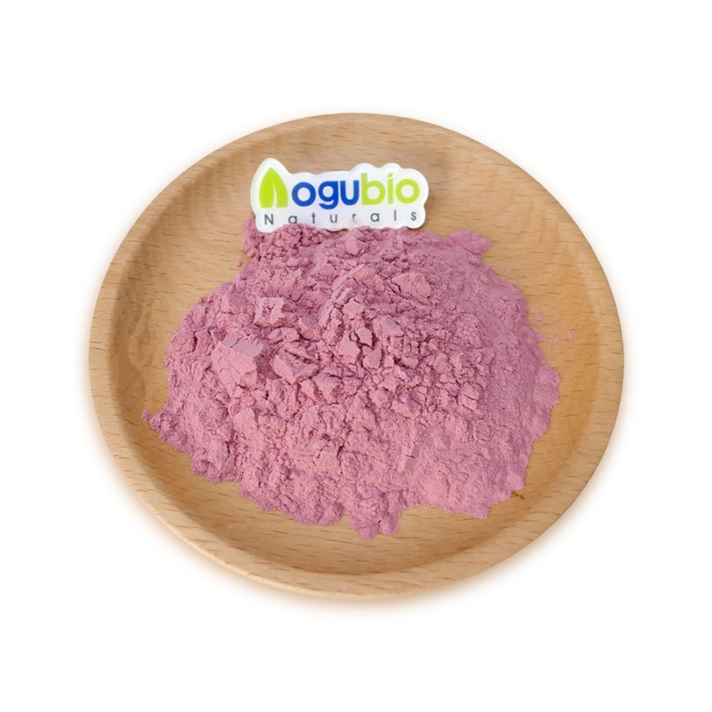 Aogubio Supply OEM Private Label Cherry Powder Food Grade Cherry Powder