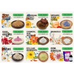 High Quality Arrowroot Powder Pure Natural Arrowroot Powder Bulk Organic Arrowroot Powder