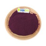 Factory Supply Mulberry Fruit Powder Mulberry Fruit Extract Powder