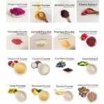 AOGUBIO Fruit Powder OEM Private Label Organic Freeze Dried Strawberry Powder