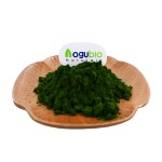 Organic Spirulina Powder Herbal Extract with Active Ingredient Spirulina Powder for Sale