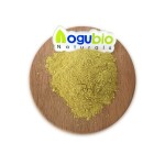 AOGUBIO Natural OEM Sophora Japonica Extract 95% 98% Isoquercetin Powder