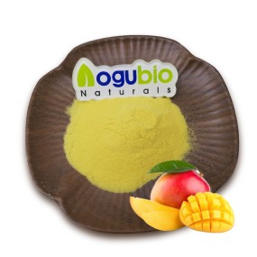 Hot Sell Mango Juice Powder Natural Mango Powder