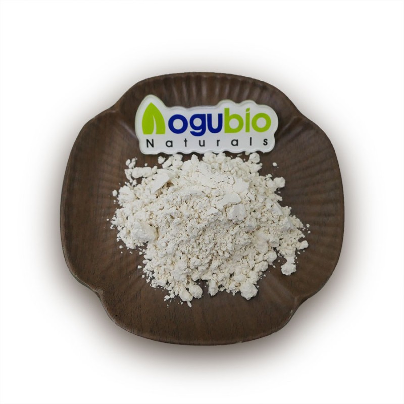 High Quality Food Grade Tiger Milk Mushroom Powder Tiger Milk Mushroom Powder