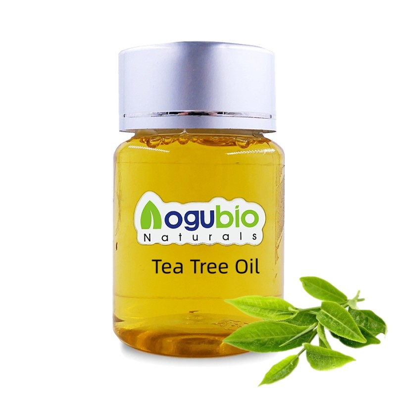 2024 Hot Selling Tea Tree Oil Own Label Perfume Tea Tree Oil Tea Tree Oil