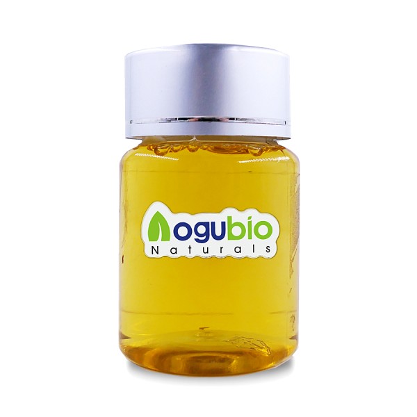 Wholesale Price Pure Natural Moringa Oleifera Extract Moringa Seed Oil