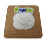 Food Ingredients Bifidobacterium Adolescentis Freeze-dried Probiotics Powder 10 Billion Bifidobacterium Adolescentis Powder
