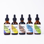 Hot Sale Private Label Natural Elderberry and Vitamin D Health Berry Liquid Herbal Supplement Elderberry and Vitamin D Drops