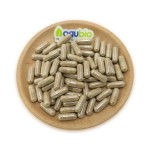 Aogubio Supply High Quality 99% Reishi Capsules Wholesale  Reishi Capsules