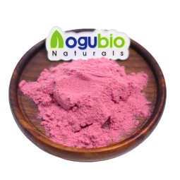 Aogubio Hot Selling New Products Fruit Extract Organic Cherry Powder