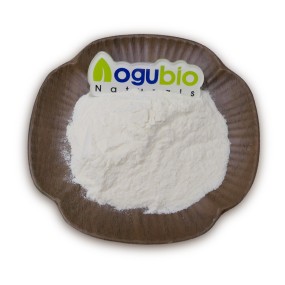 Food Ingredients Bifidobacterium Adolescentis Freeze-dried Probiotics Powder 10 Billion Bifidobacterium Adolescentis Powder