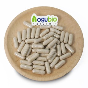 Aogubio Supply High Quality 99% Sea Moss Capsuleswholesale  Sea Moss Capsules
