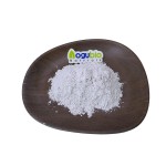 AOGUBIO Supply High Quality Lactobacillus Bulgaricus Probiotics 10 Billion CFU Lactobacillus Bulgaricus