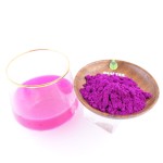AOGUBIO Supply Superfood Organic Food Additive Freeze-Dried Red Dragon Fruit Powder
