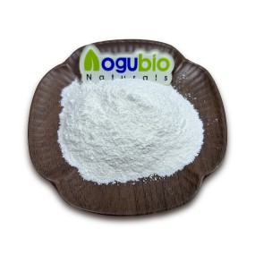 Factory Supply High Quality Lactobacillus Helveticus Powder 3 Billion CFU Lactobacillus Helveticus