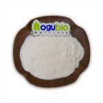 ISO Factory Supply High Quality Natural Sweetener Stachyose 99% Powder with Free Sample