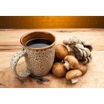 Gold Factory Supply Mushroom Coffee Lion's Mane and Chaga and Mushroom Powder